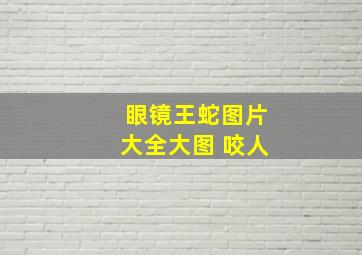 眼镜王蛇图片大全大图 咬人